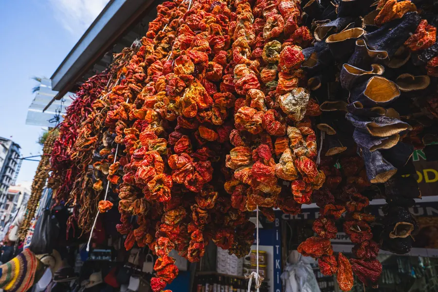 Dried red peppers hanging in bunches