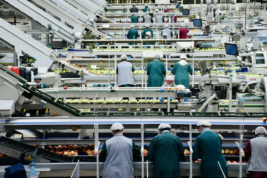 Workers on a food production line