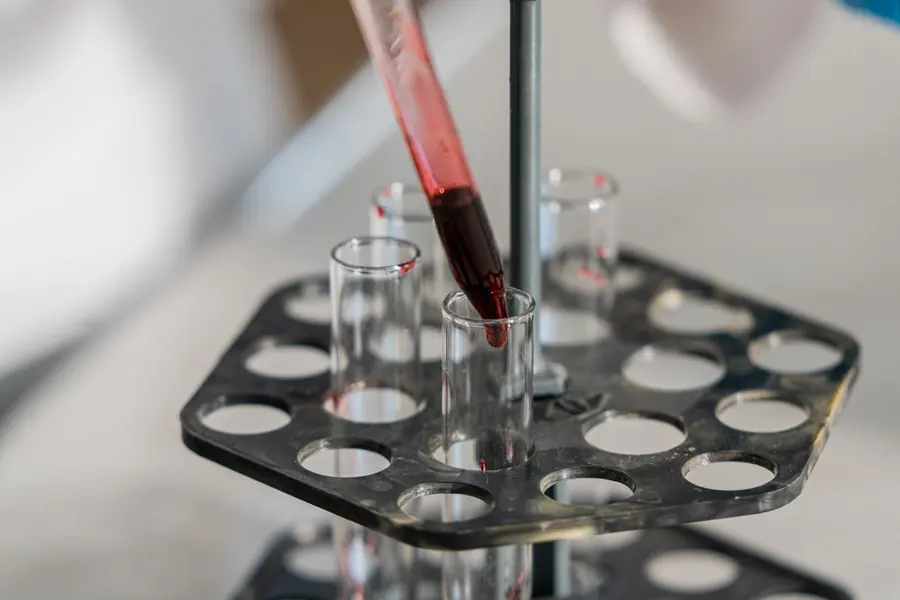 A food sample being tested in a laboratory