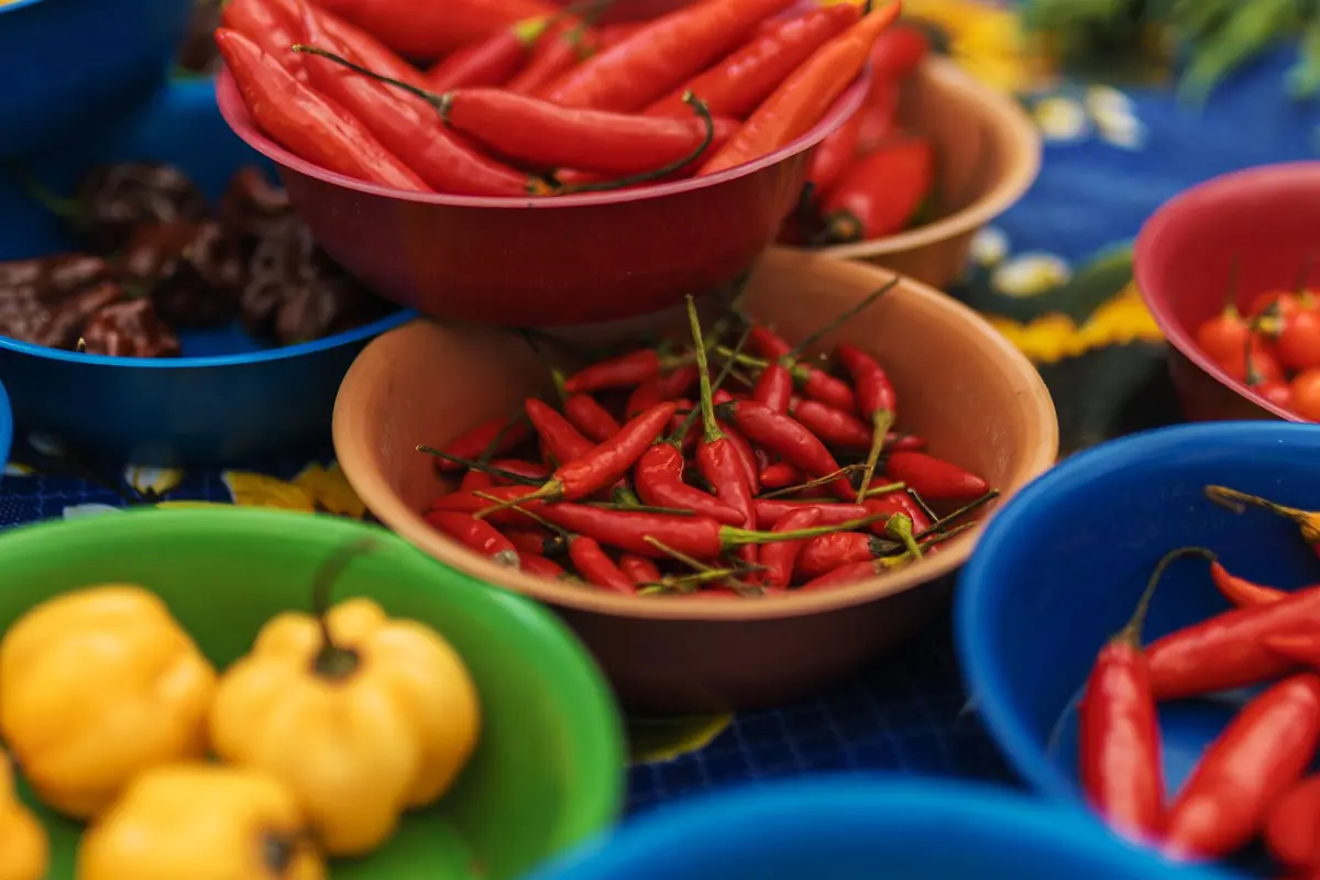 Red chillies in a bowl