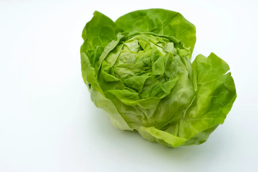 Crisp fresh lettuce leaves