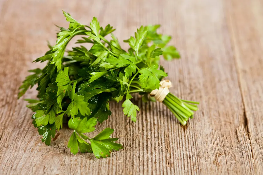 Bunches of fresh parsley and mint