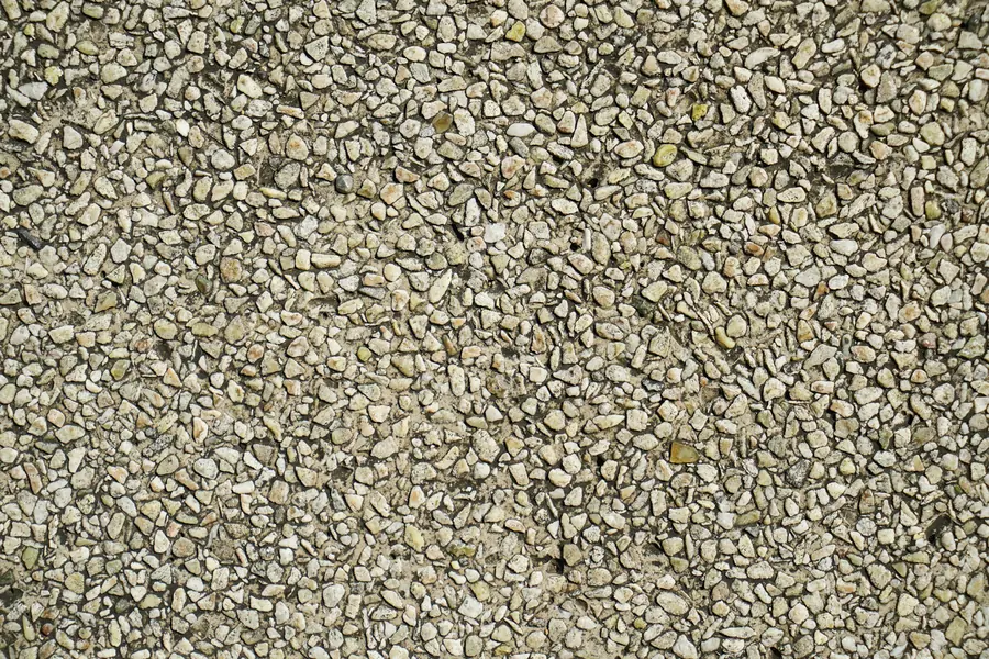 Sesame seeds scattered on a surface
